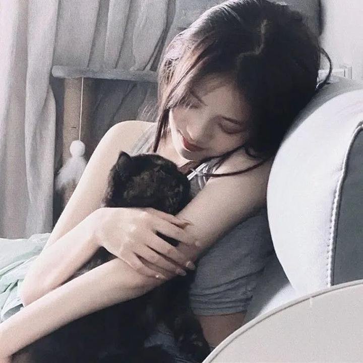 恐龙之王