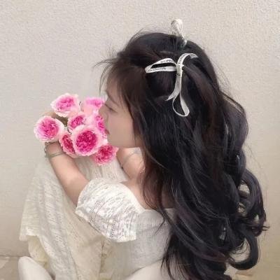 烟花女驼龙